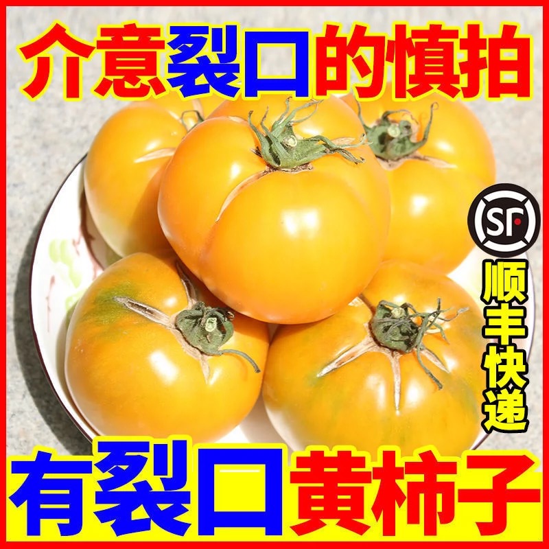 小七专属内蒙古五原县裂口黄柿子自然成熟顺丰包邮 到手价¥24.90