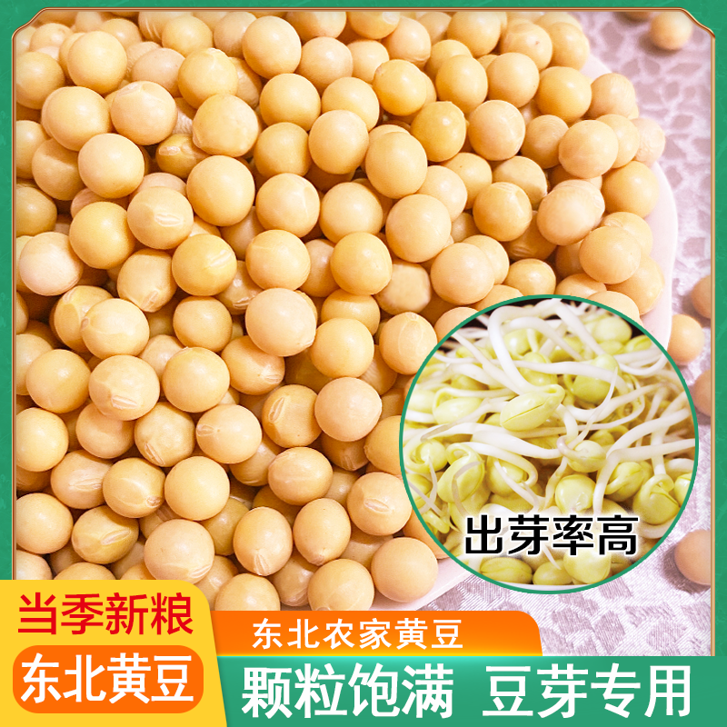 豆芽专用豆黄豆东北黄豆大豆黑土种植打豆浆豆腐脑生豆芽食用豆 到手价¥15.90