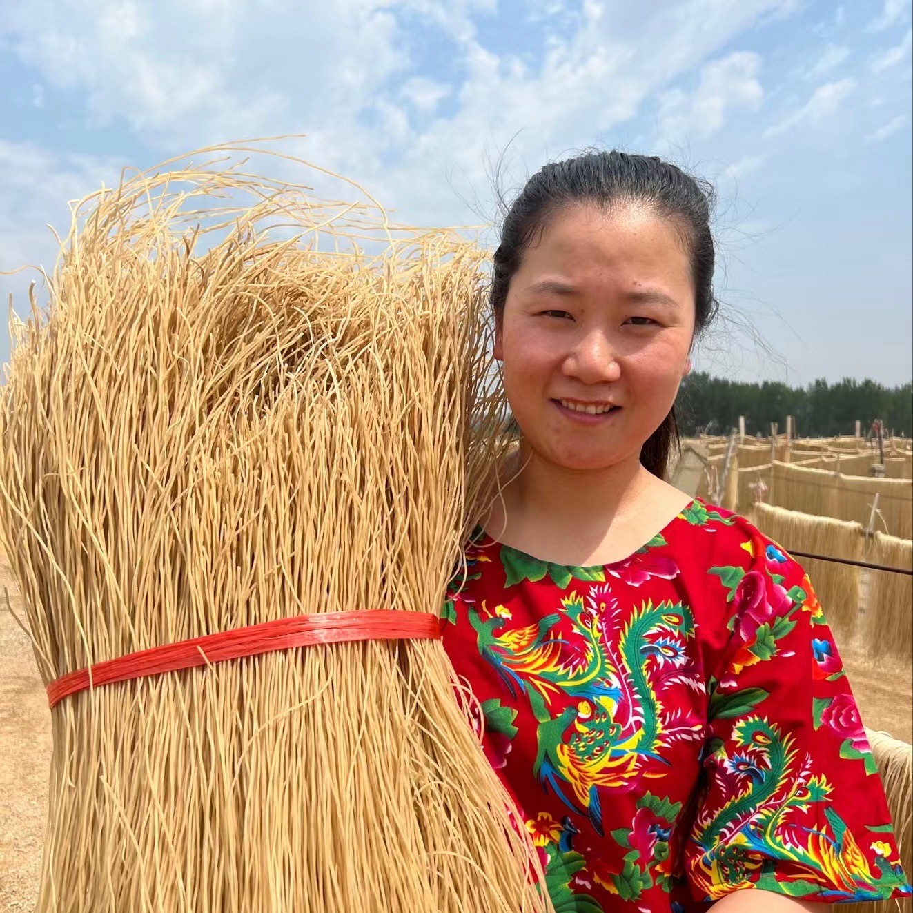 农家燕子红薯粉条山东枣庄地瓜粉条纯手工粉条48小时自然晾晒 到手价¥48.90