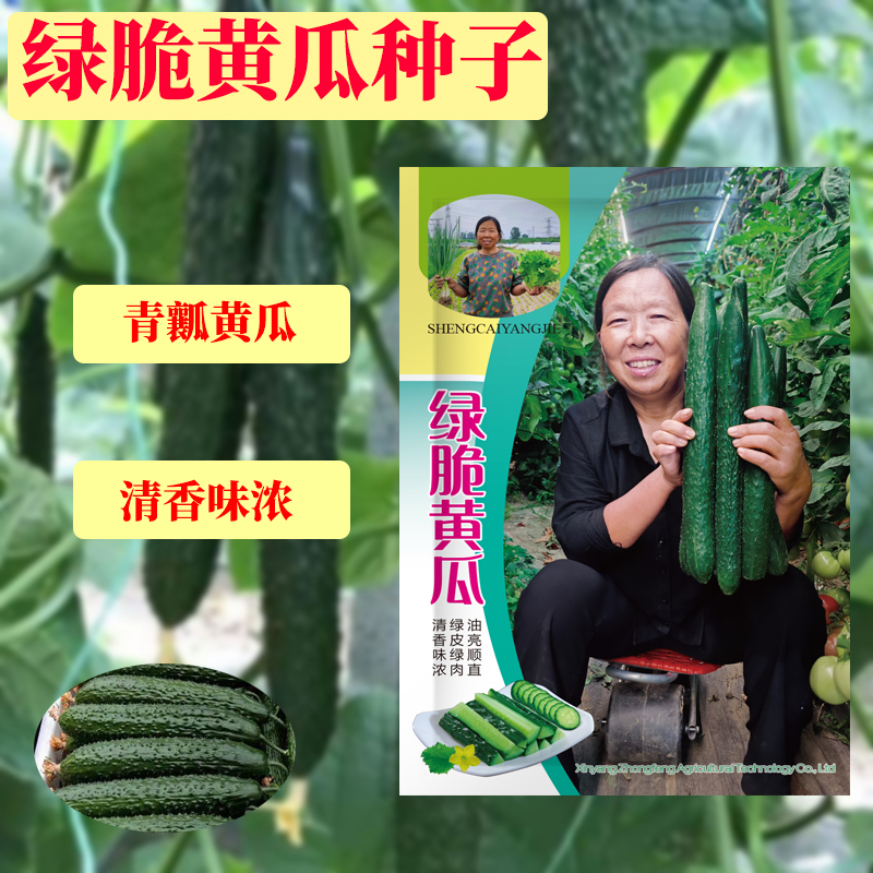 【杨姐推荐】黄瓜种子绿皮甜脆嫩绿黄瓜节节有瓜绿刺黄瓜蔬菜种子 到手价¥12.80