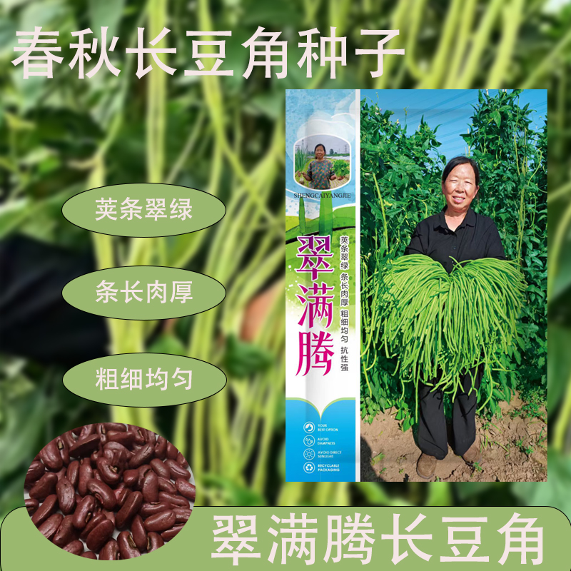 翠满腾长豆角种子春秋豆角高产长豆角种子 到手价¥13.80