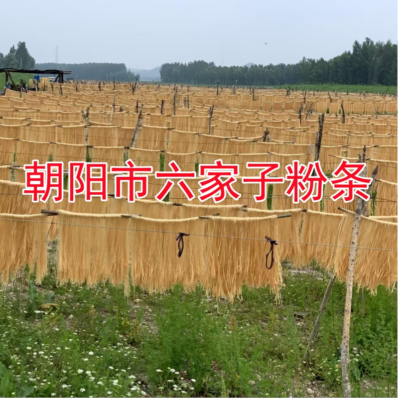 【虎妞专属】’朝阳市六家子粉条5斤装宽粉细粉可选手工粉条 到手价¥21.90