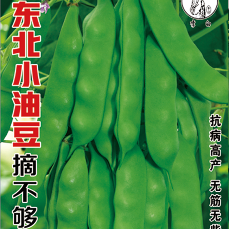 【主播优选】农家豆角种子 随机送一袋小菜籽 到手价¥14.80