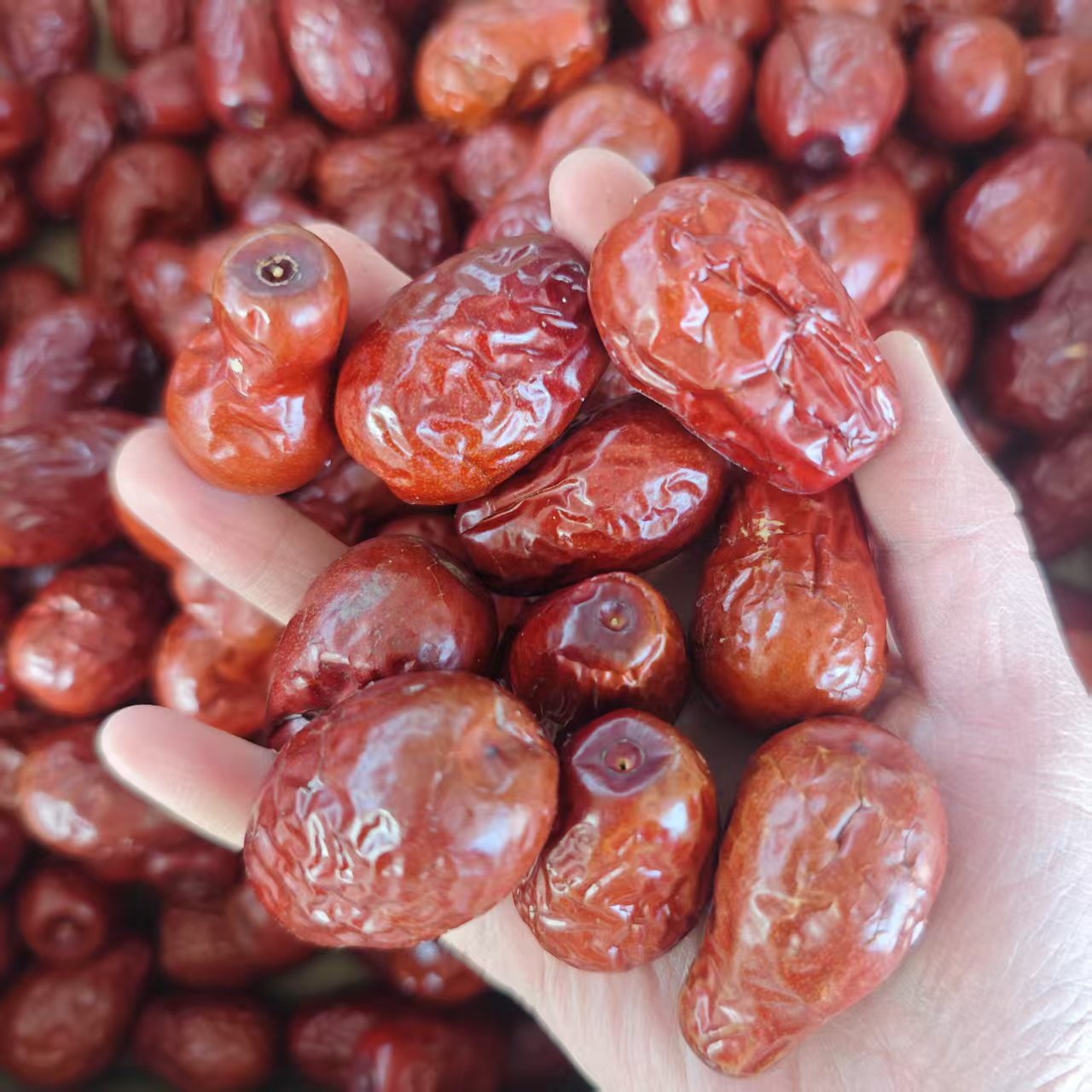 RX【7.99抢两斤】新疆骏枣泡茶熬粥零食 到手价¥7.99