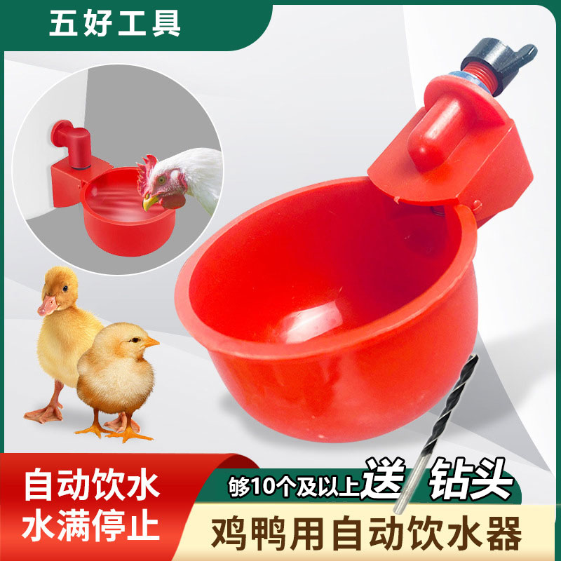 第3代加厚饮水器饮水碗鸡鸭鸽子鹌鹑饮水器自动养殖养鸡设备产品 到手价¥9.90