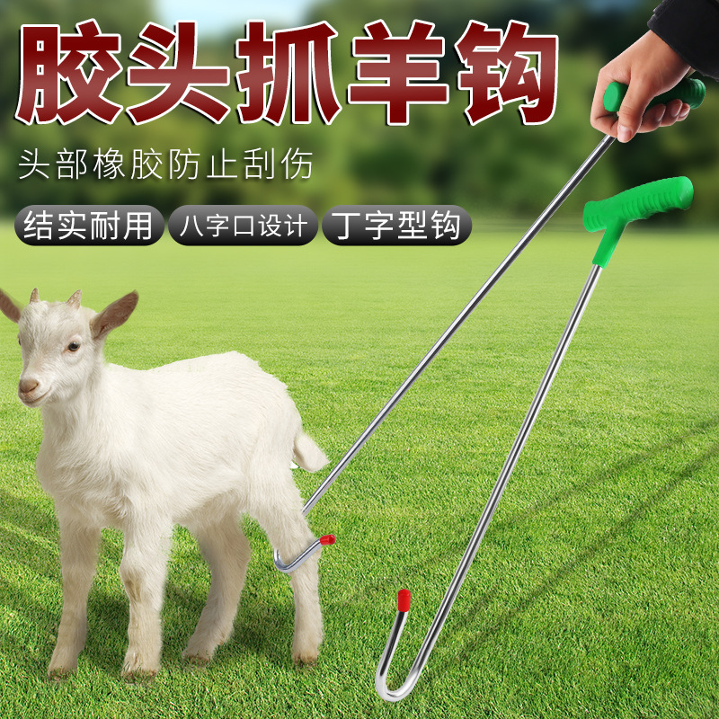 抓羊钩子逮羊工具神器山羊抓羊钩绵羊剪羊毛不锈钢捉羊勾子羊脚钩 到手价¥19.90