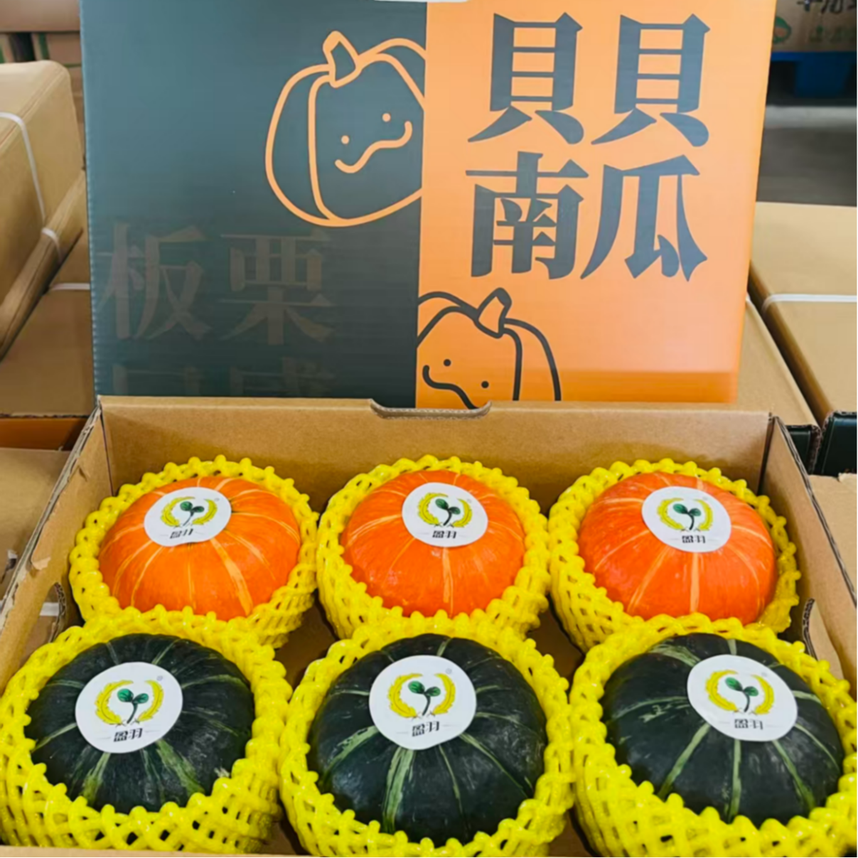山东绿贝贝 红贝贝 组合 南瓜3斤/4.5斤装金贝贝 金星贝贝 红魔 到手价¥15.80