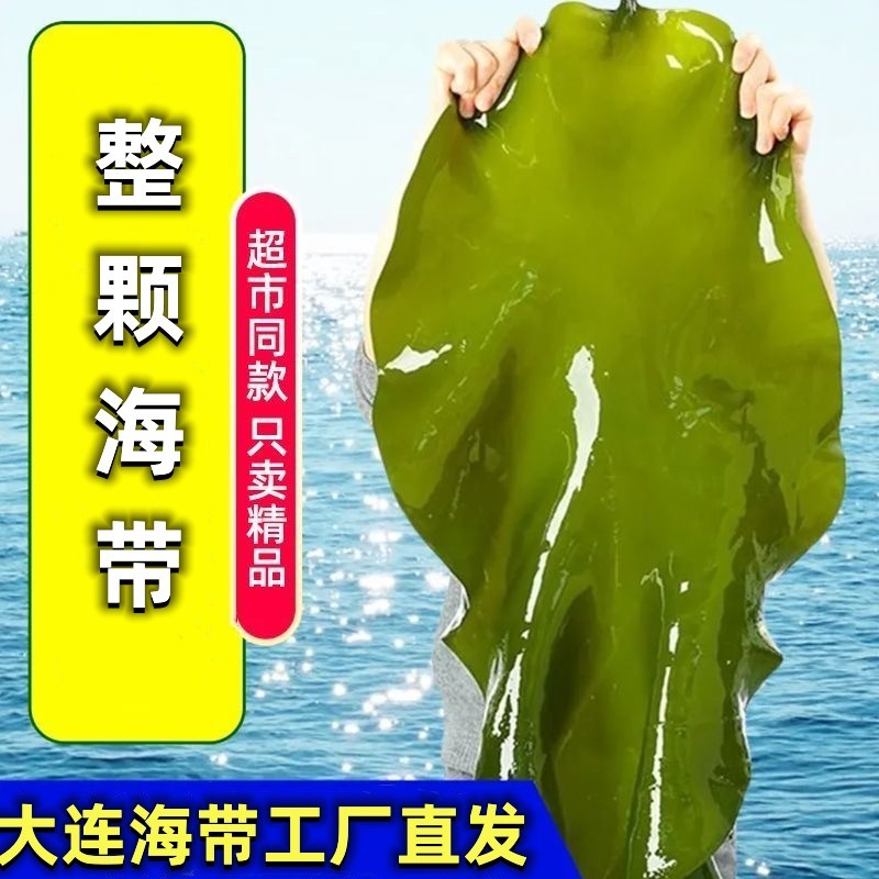KP【8.8带箱五斤】大连盐渍海带包饭海带 净重4.6斤 炖煮火锅 到手价¥8.80