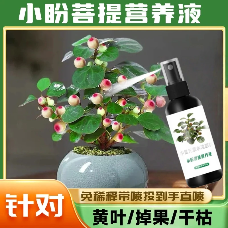 【降价！9.9元2瓶】小盼菩提树营养液植物肥防黄叶促开花结果PJ 到手价¥9.90