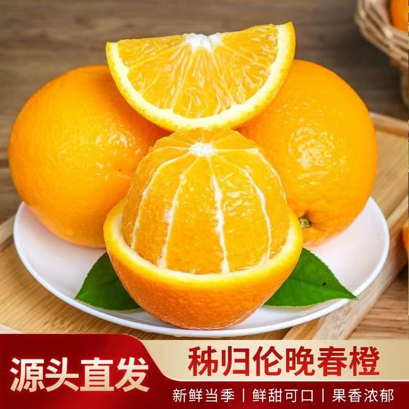 【湖北】秭归伦晚橙净重4.5/9斤香甜爆汁春橙现摘产地直发 到手价¥19.90