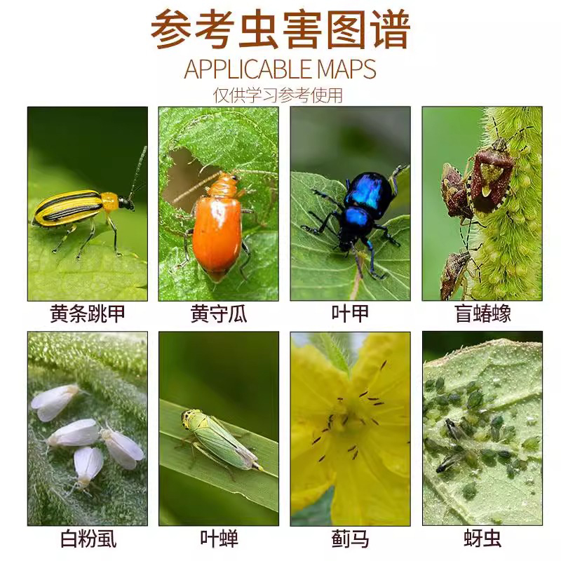 联苯噻虫胺地下害虫通用农药蔬菜跳甲虫地老虎土蚕蛴螬蝼蛄杀虫剂 图片 7