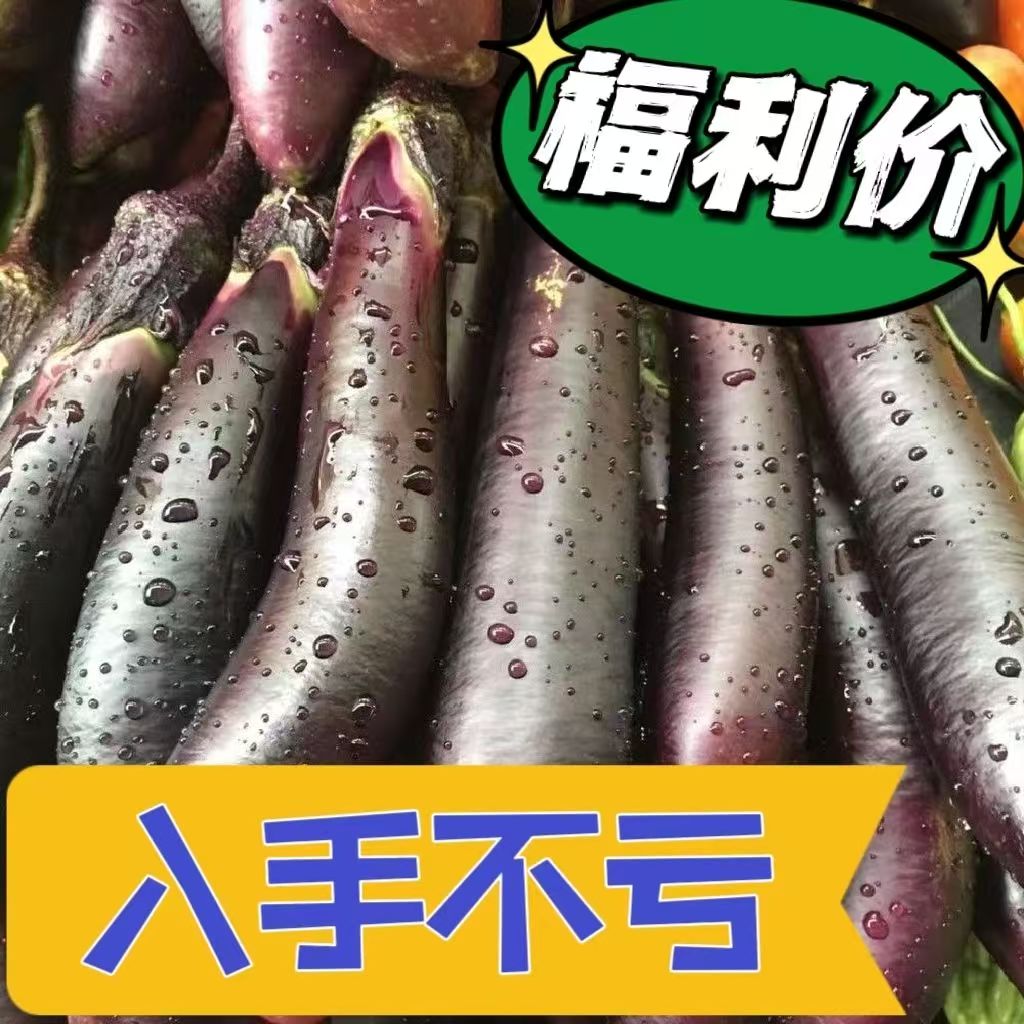 《活动专用链接》东北紫茄子 5斤包邮 到手价¥19.90