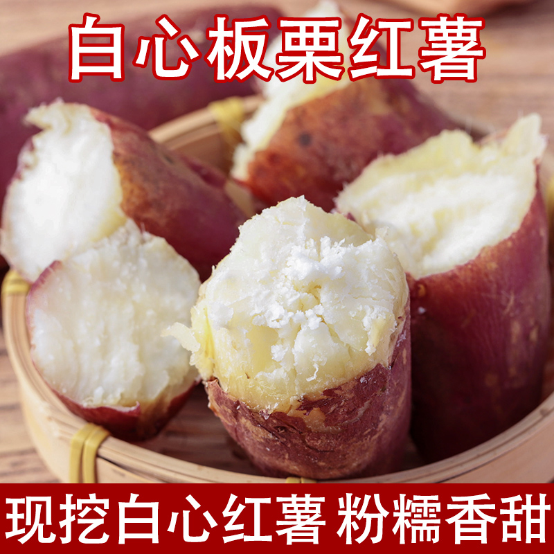 新鲜现挖白心红薯粉面农家河南红皮白薯白心板栗粉面甜山芋地瓜 到手价¥18.90