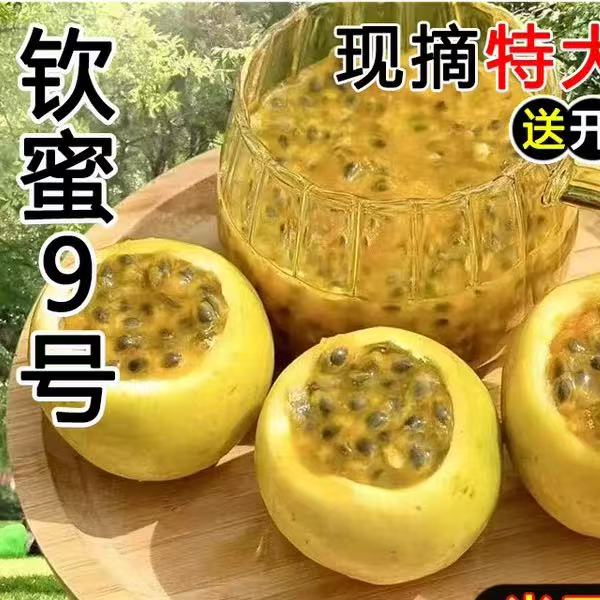 Z 广西正宗钦蜜9号黄金百香果新鲜优选水果产地直发现摘旗舰 到手价¥9.90