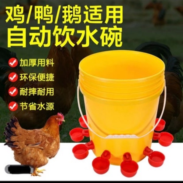 养鸡用自动饮水器鸡鸭鹅饮水碗鸽子喝水壶鹌鹑家禽鸟小鸡喂鸡神器 到手价¥13.80
