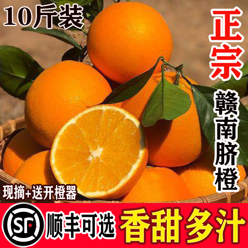 【主播专属】正宗赣南脐橙新鲜当季水果甜橙子5/10斤整箱现摘直发 到手价¥19.90