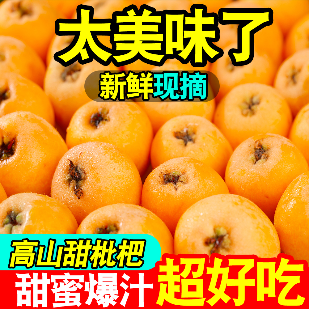四川攀枝花米易枇杷新鲜水果当季高山五星枇杷果现摘爆甜孕妇琵琶 到手价¥9.90