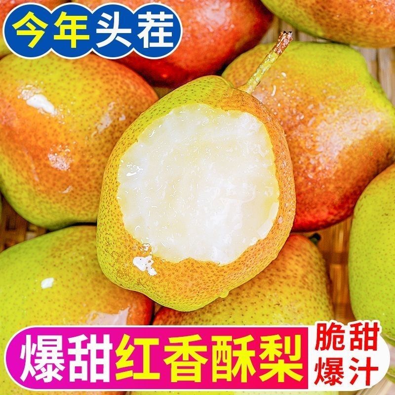 yy山西红香酥梨清香爽口满口汁水水果 到手价¥13.80