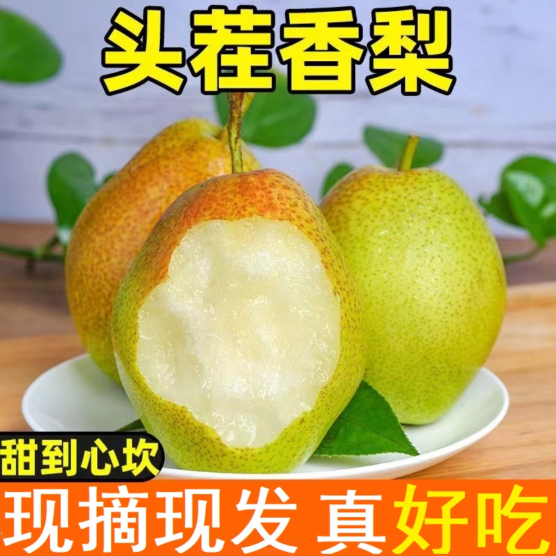 HX【带箱4斤】山西正宗红香酥梨酥脆甜多汁爽口应季水果