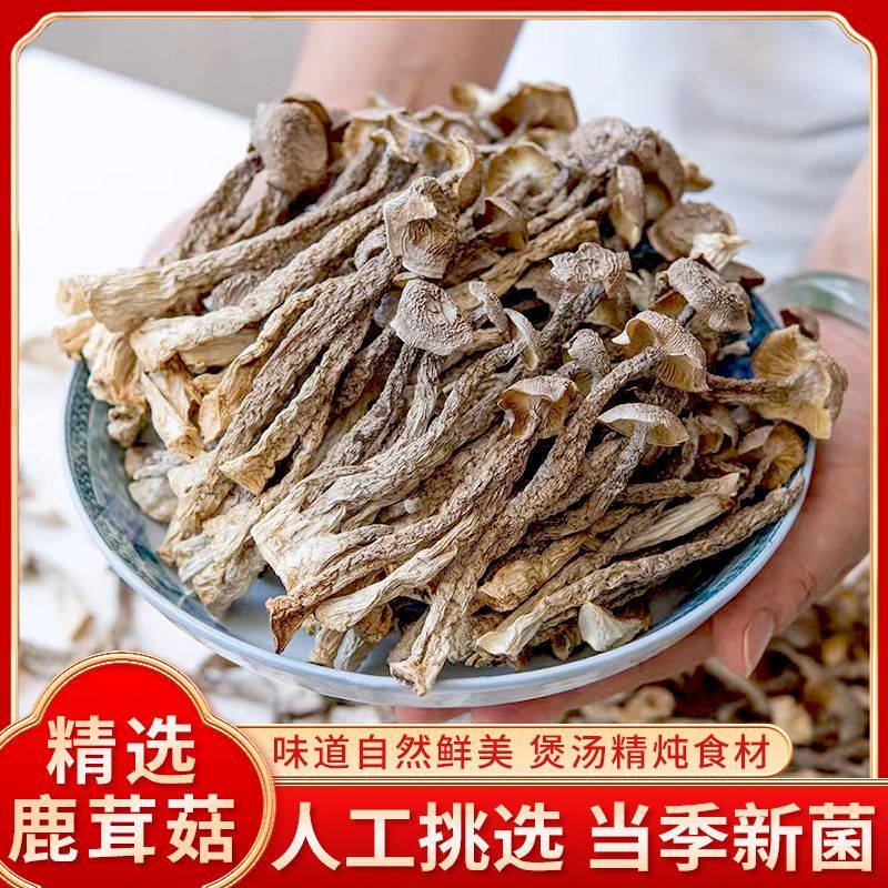 【主播宠粉】鹿茸菇鹿茸菌新鲜香菇干货云南特产鹿茸菇食材【CC】 到手价¥14.90