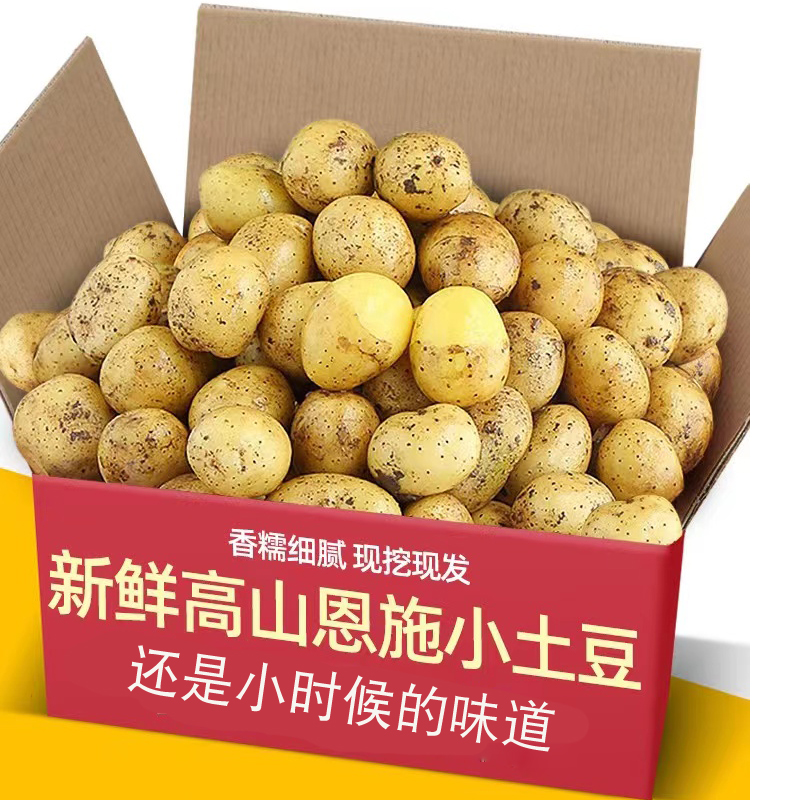 网红恩施黄心小土豆呀新鲜现挖3/5/9斤迷你马铃薯洋芋[粉糯香甜] 到手价¥8.80