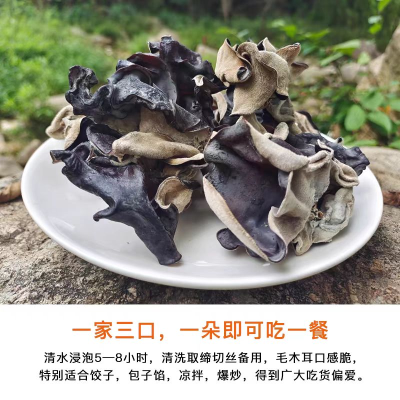 [达人星选] 大木耳(500g)脆木耳地耳头茬毛木耳大木耳干货 YJ 到手价¥26.80