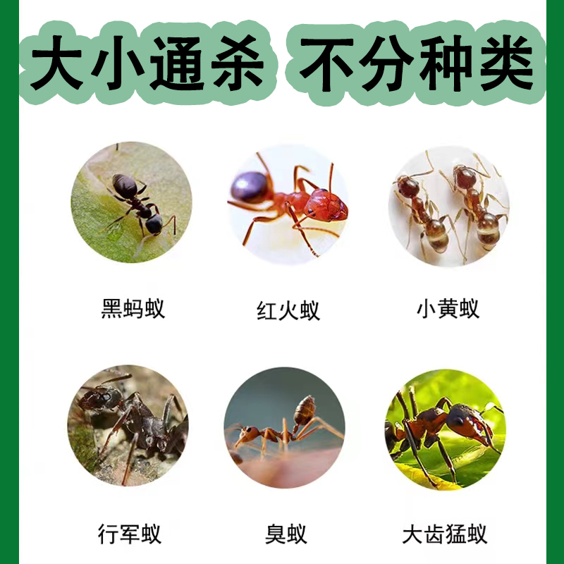 【只需一喷】灭蚂蚁药家用室内厨房除红黄白黑蚂蚁杀蚁喷剂杀虫剂 图片 3