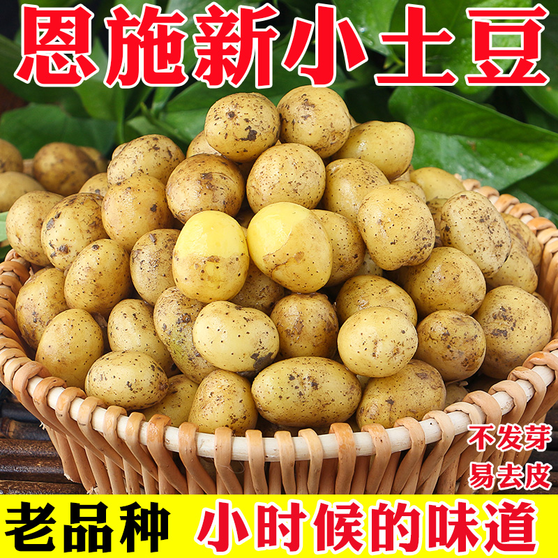 【11.8发5斤】恩施土豆农家自种富硒洋芋马铃薯黄皮黄心 到手价¥10.80