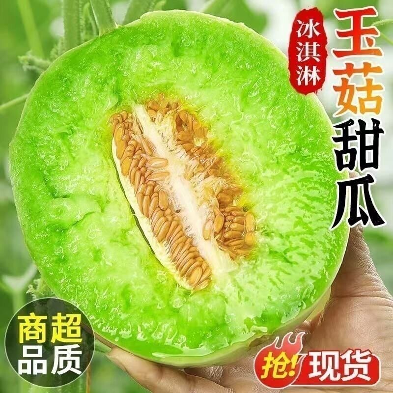 暖棚头茬高甜正宗山东玉菇甜瓜冰淇淋奶香甜瓜产地直发香甜软糯 到手价¥23.90