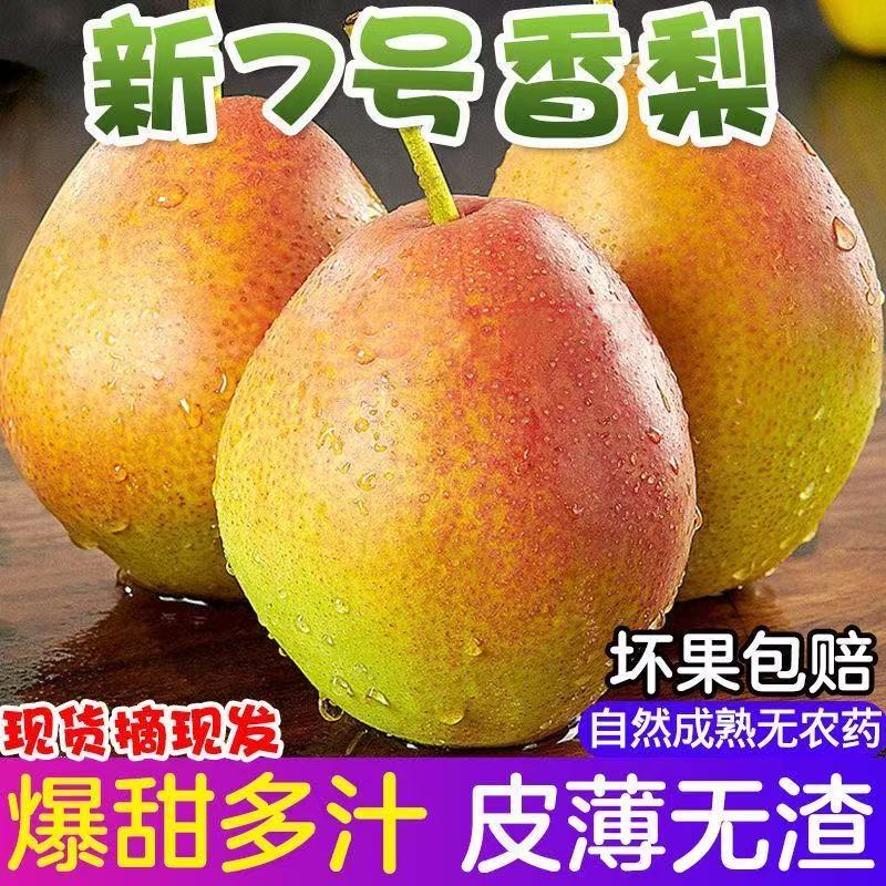 2025山西新鲜香酥梨5斤装七月红梨半边红梨现摘现发应季脆梨酷 到手价¥12.90