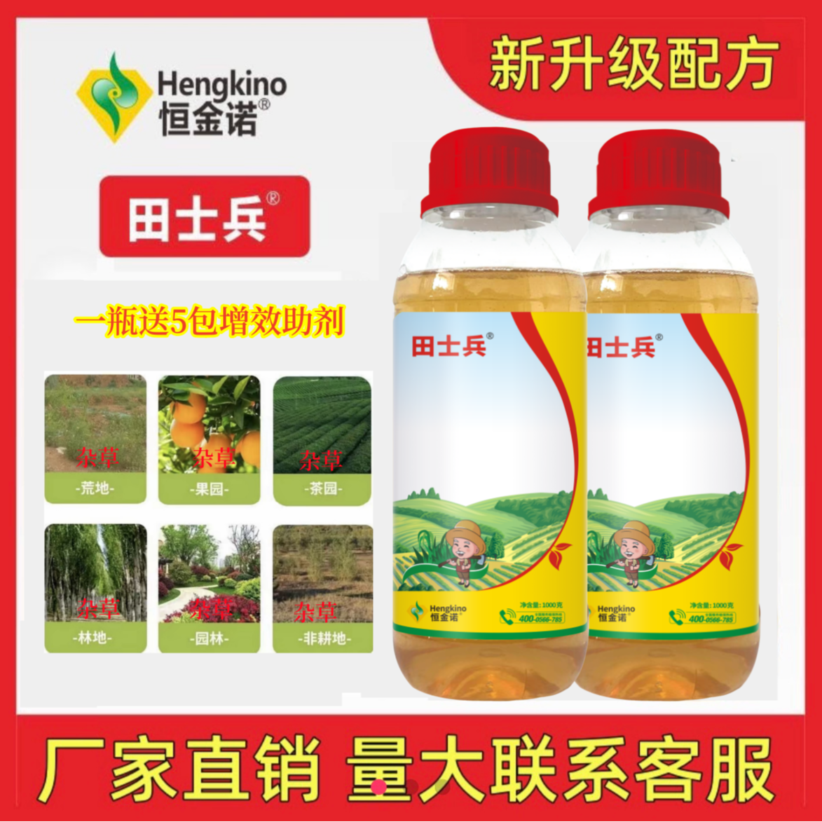 【1000克大瓶装】果园茶园林园田埂路边房前屋后冰草小飞蓬节节草 到手价¥19.60