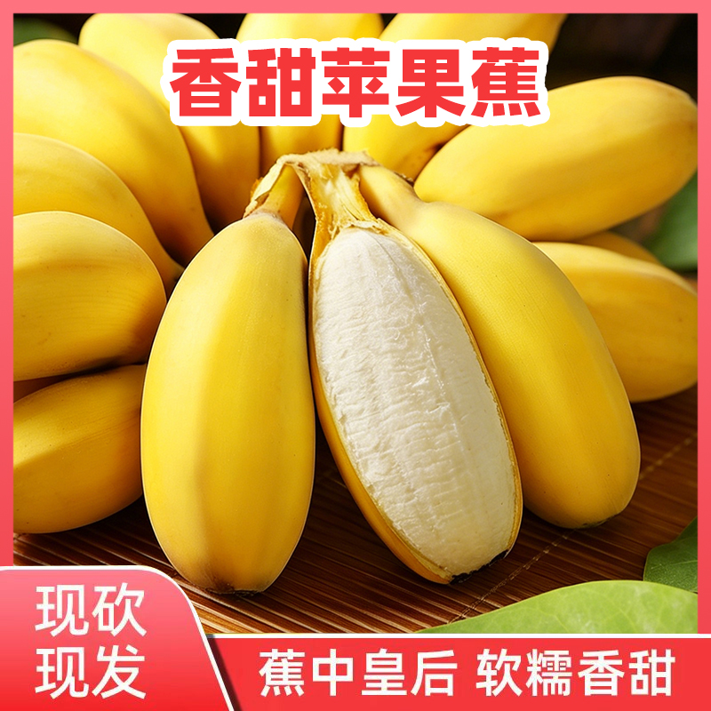 正宗广西苹果蕉产地直发新鲜采摘孕妇水果热带不泡药水自然成熟 到手价¥18.60