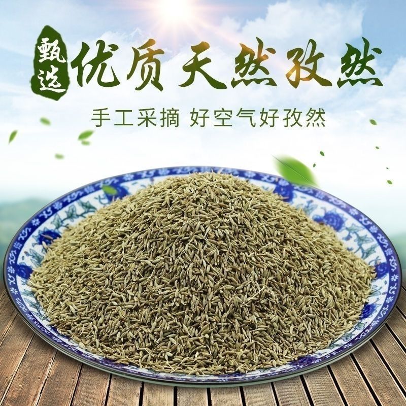 正宗新疆孜然粒家用烧烤撒料烤羊肉串必备调料商用批发 到手价¥9.90
