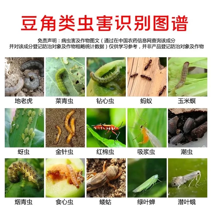 高效氯氟氰菊酯农用杀虫剂蚜虫菜青虫蚜虫棉铃虫植物杀虫剂正品 图片 5