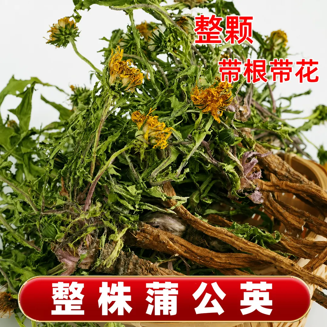 蒲公英正品整株浦公英婆婆丁野生干草整颗棵带根带花全株 到手价¥9.80