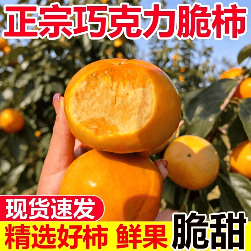 ZH【6.9净重4.5斤】山西阳丰巧克力脆柿子应季水果脆甜 到手价¥6.90