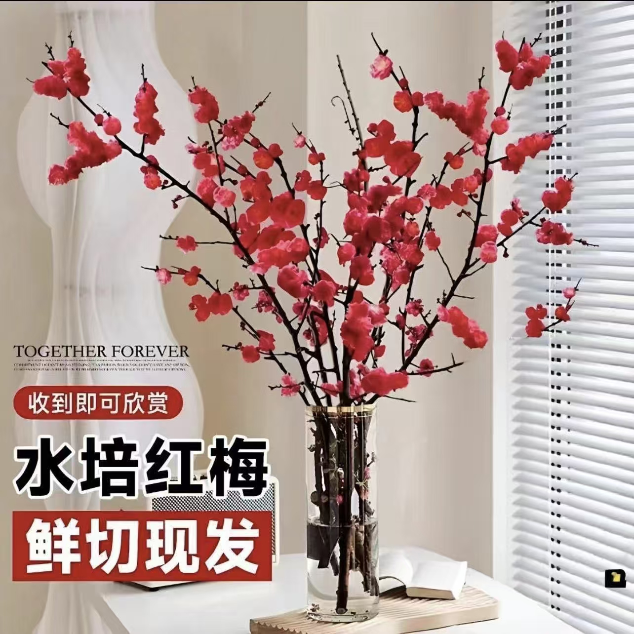 （带花苞）水培梅花鲜枝红梅年宵花新年装饰梅花枝条冬季枝条 到手价¥9.90