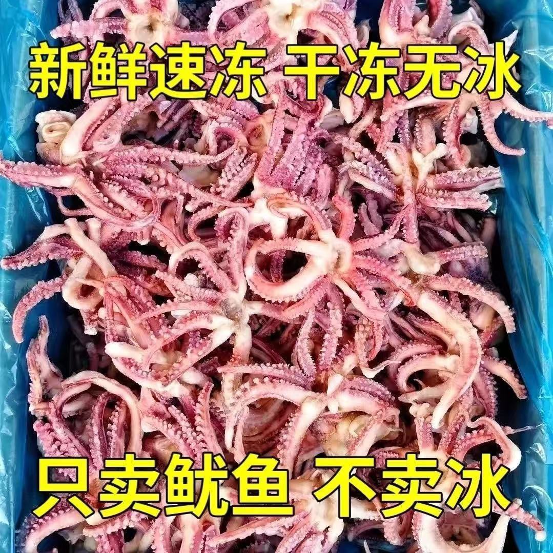 WW【53.9发5斤不限量】鱿鱼头须鲜冻鱿鱼头八爪须小鱿鱼烧烤食材 到手价¥53.90