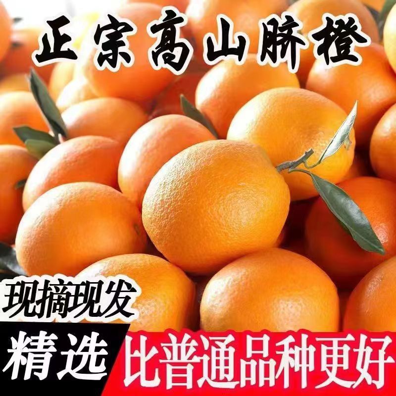 YY【8.8发带箱5斤】正宗高山脐橙新鲜多汁甜而不涩皮薄肉厚 到手价¥8.80