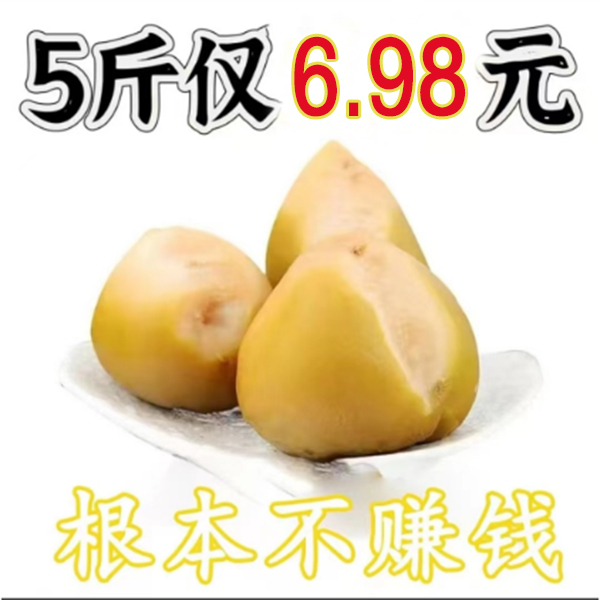 【6.98发5斤】芥菜疙瘩芥菜头芥菜丝东北特产新鲜小咸菜下饭菜5斤 到手价¥6.98