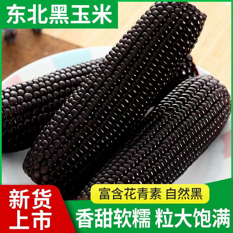 【79】东北头茬鲜糯黑玉米香甜软糯黑糯玉米真空锁鲜粗粮 到手价¥26.99