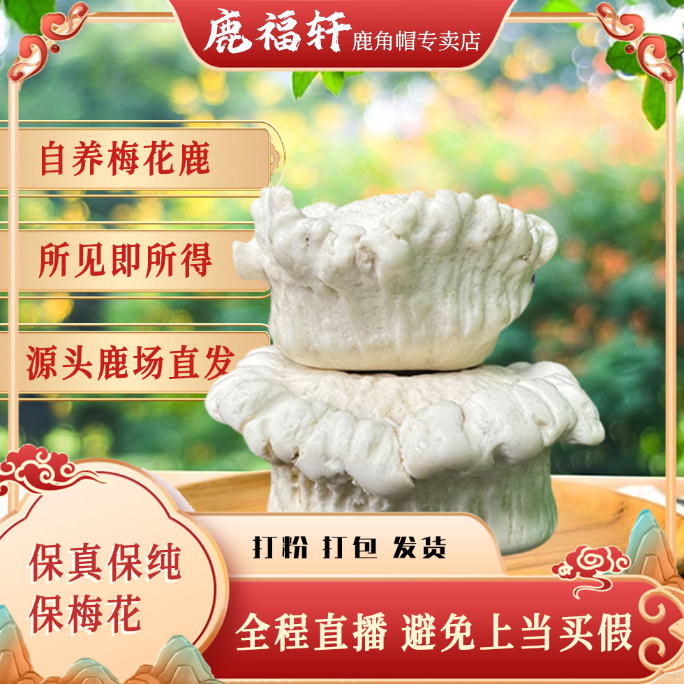 梅花鹿鹿角帽 鹿乡原产地 保真保纯 现场打粉 一镜到底 到手价¥260.00