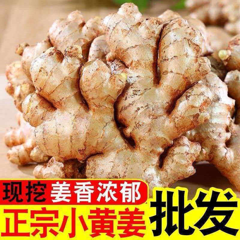 SS【11.9发5斤小黄姜】二年老姜正宗高山云南小黄姜辛辣十足生姜2 到手价¥8.80