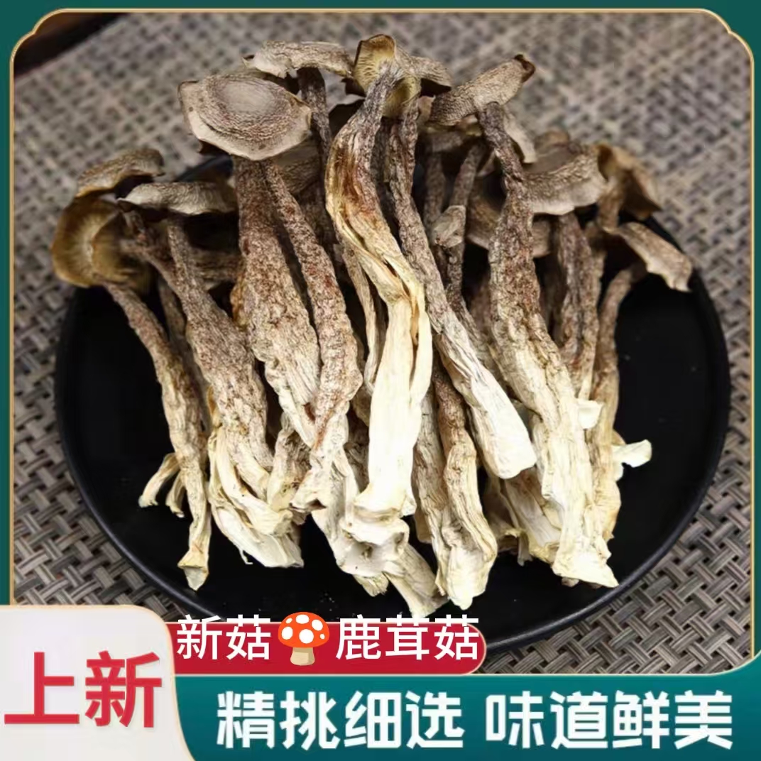MC【20.9发一斤】鹿茸菇干货脆脆菇煲汤煮汤菌菇汤可批发 到手价¥20.90