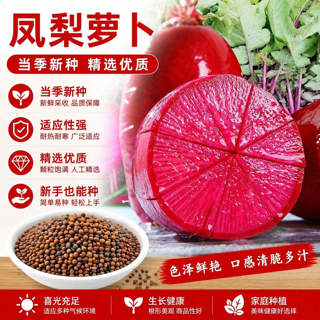 【2.9抢一包】凤梨水果萝卜凤梨萝卜阳台菜园庭院可萝卜种子 到手价¥2.99