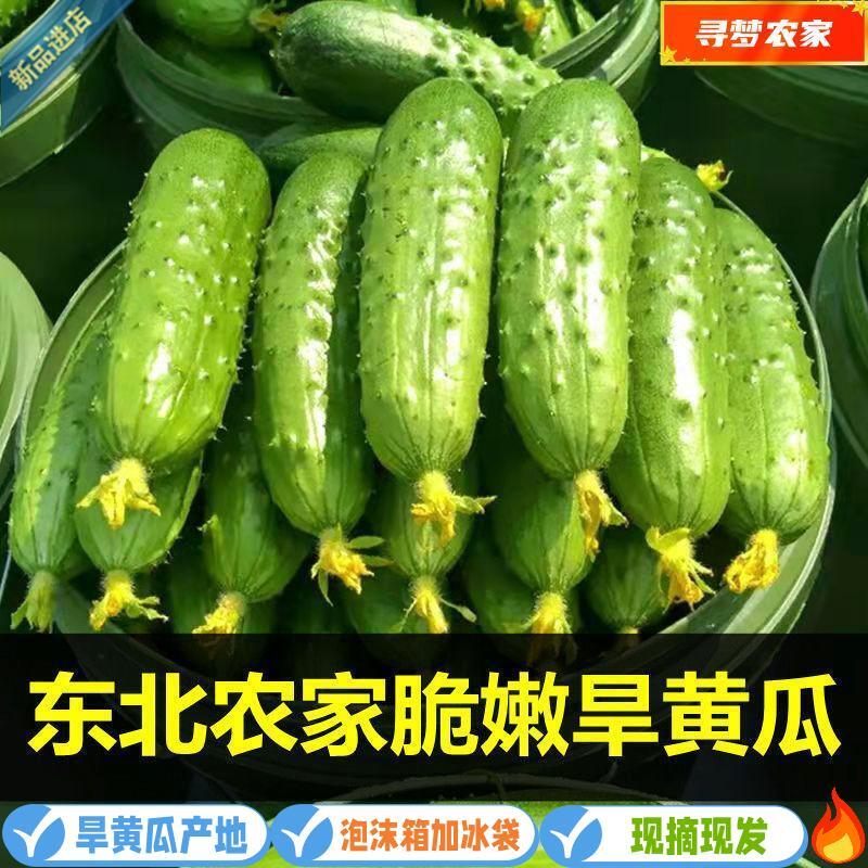 当天现摘东北绿心旱黄瓜新鲜水果黄瓜当季小黄瓜生吃蘸酱新鲜蔬菜 到手价¥9.80