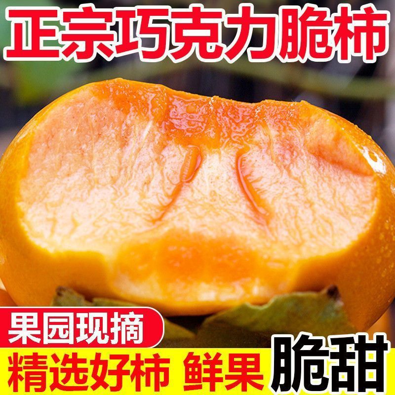 山西阳丰巧克力脆柿皮薄肉厚冰糖心硬柿子新鲜应季水果现货速发 到手价¥12.90