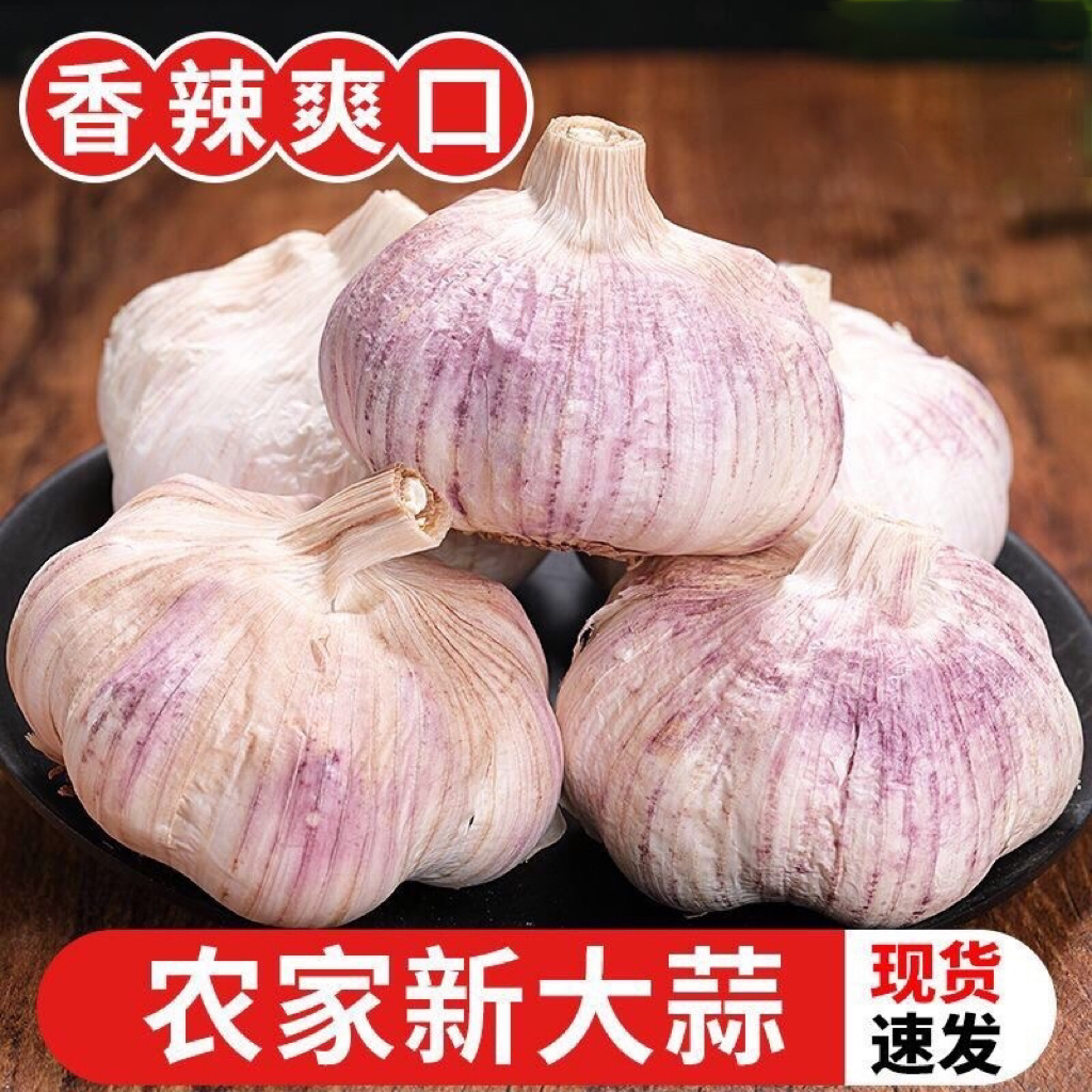 RX【9.99抢25-30头】山东金乡纯干紫白皮多瓣大蒜 蒜辣味十足 到手价¥9.99