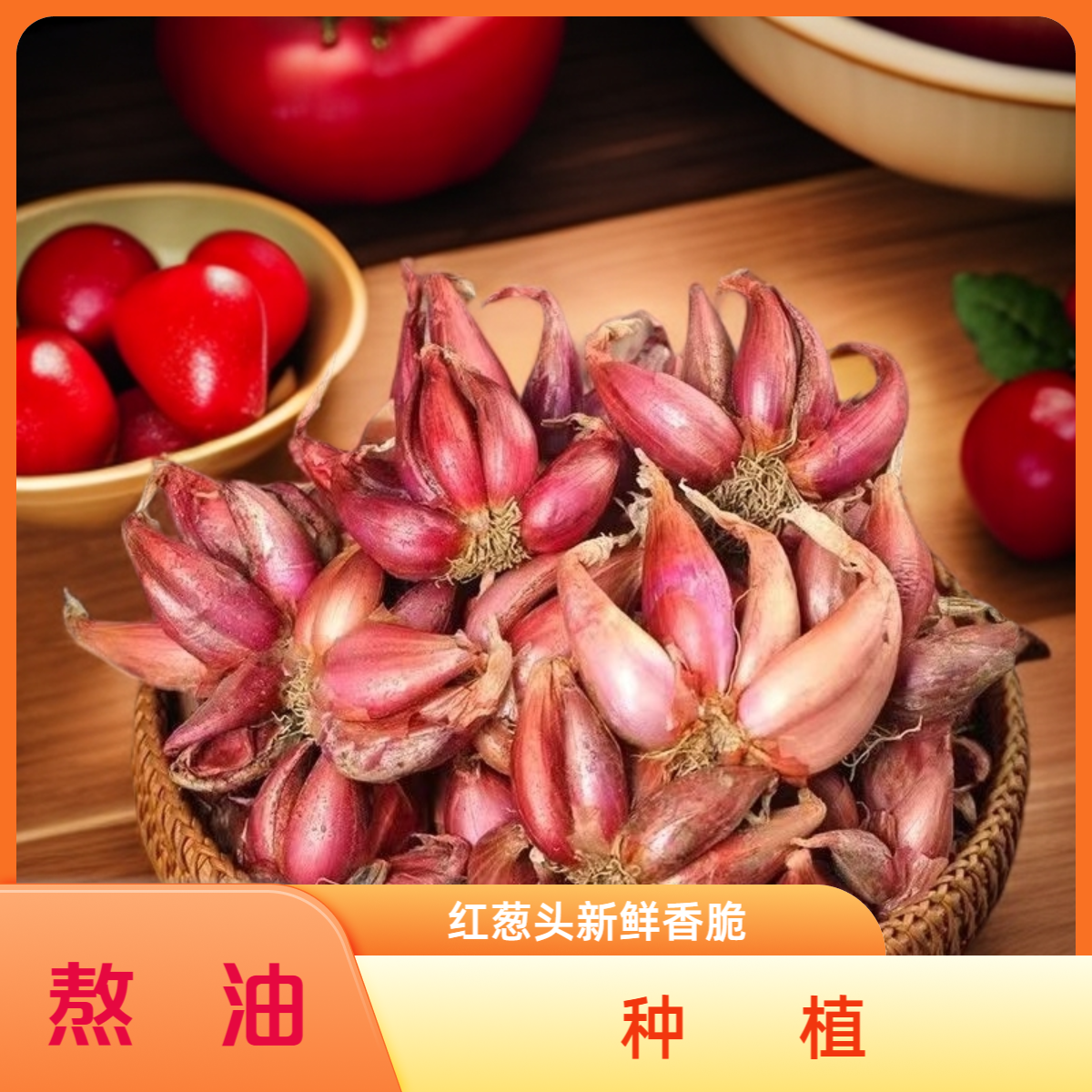 云南大理红葱头四季小香葱可种可吃干葱头场熬葱油炒菜特香 到手价¥5.80