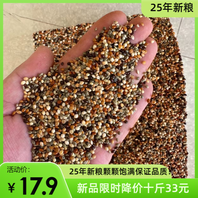 25年 新粮 五色混合黍子 鹦鹉 文鸟 麻料 黄鸟 丝雀 玉鸟 鸟粮 到手价¥8.00